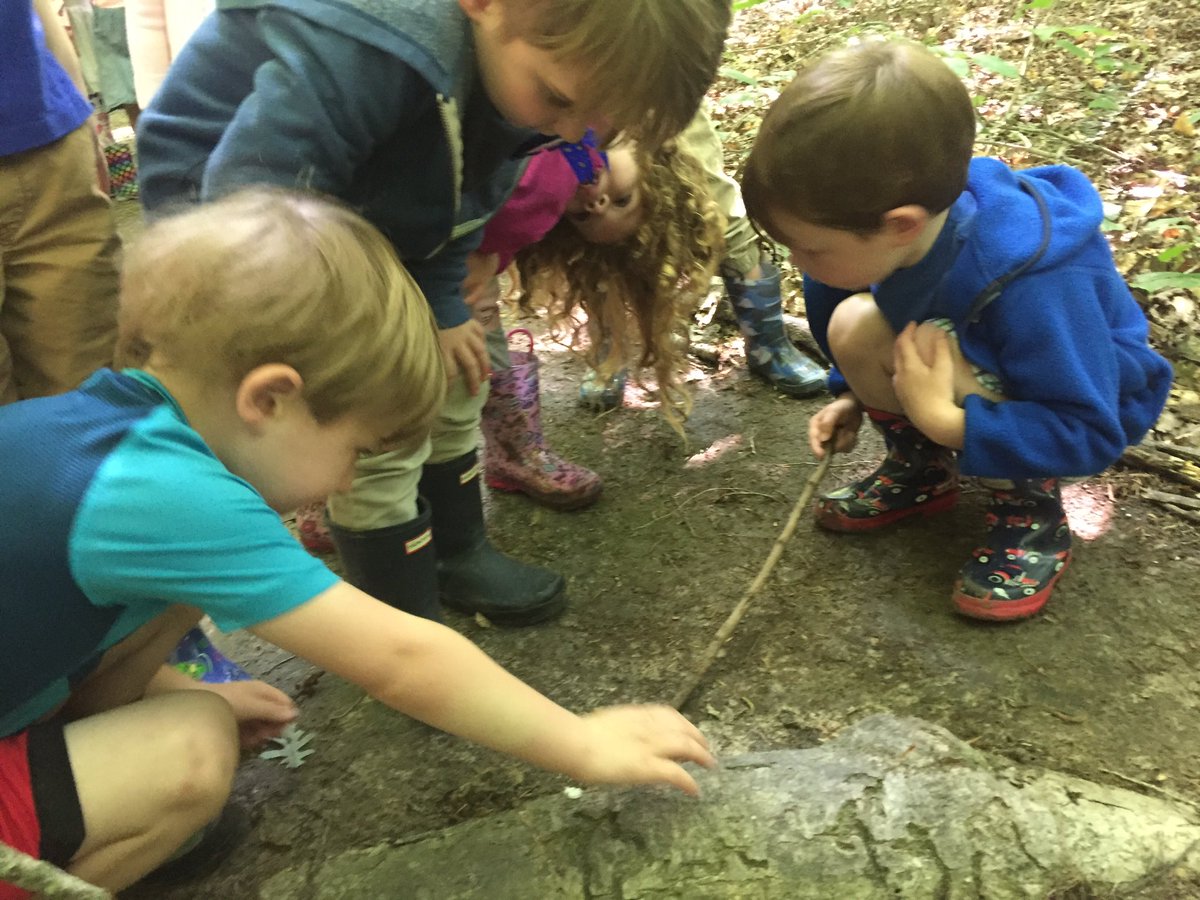 Beautiful weather this week for exploring Discovery Woods. <a href="/TrinityFrogs/">Pam Lauer</a> #TrinityLearns #CherishChildhood #getoutside