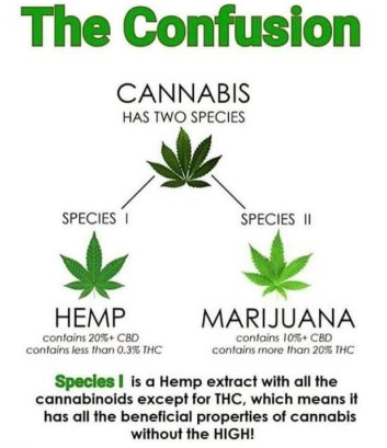 behempful's tweet photo. Do you know the differences between cannabis & hemp? #behempful #nmtruehemp #nmhemp
https://t.co/hRGaJ9DP1N https://t.co/I9gE3LOUbL
