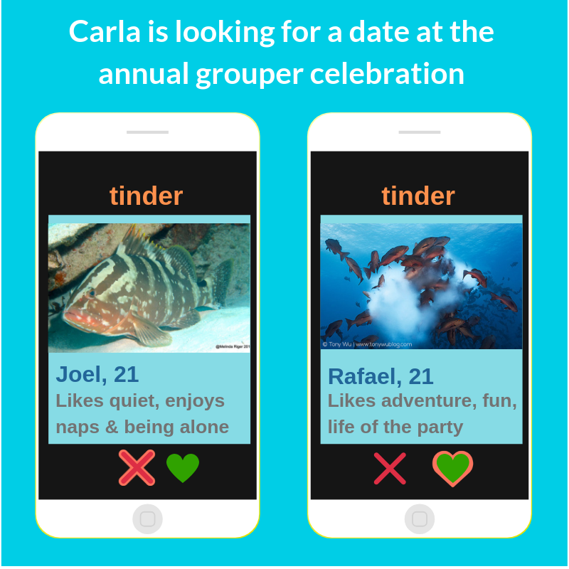 eelisco's tweet image. Even fish are looking for love!
#FishLove #BigFishLOVE #oceanhumor #oceanoptimism #oceanfun #FishRave #UnderwaterLife  
vimeo.com/335895106