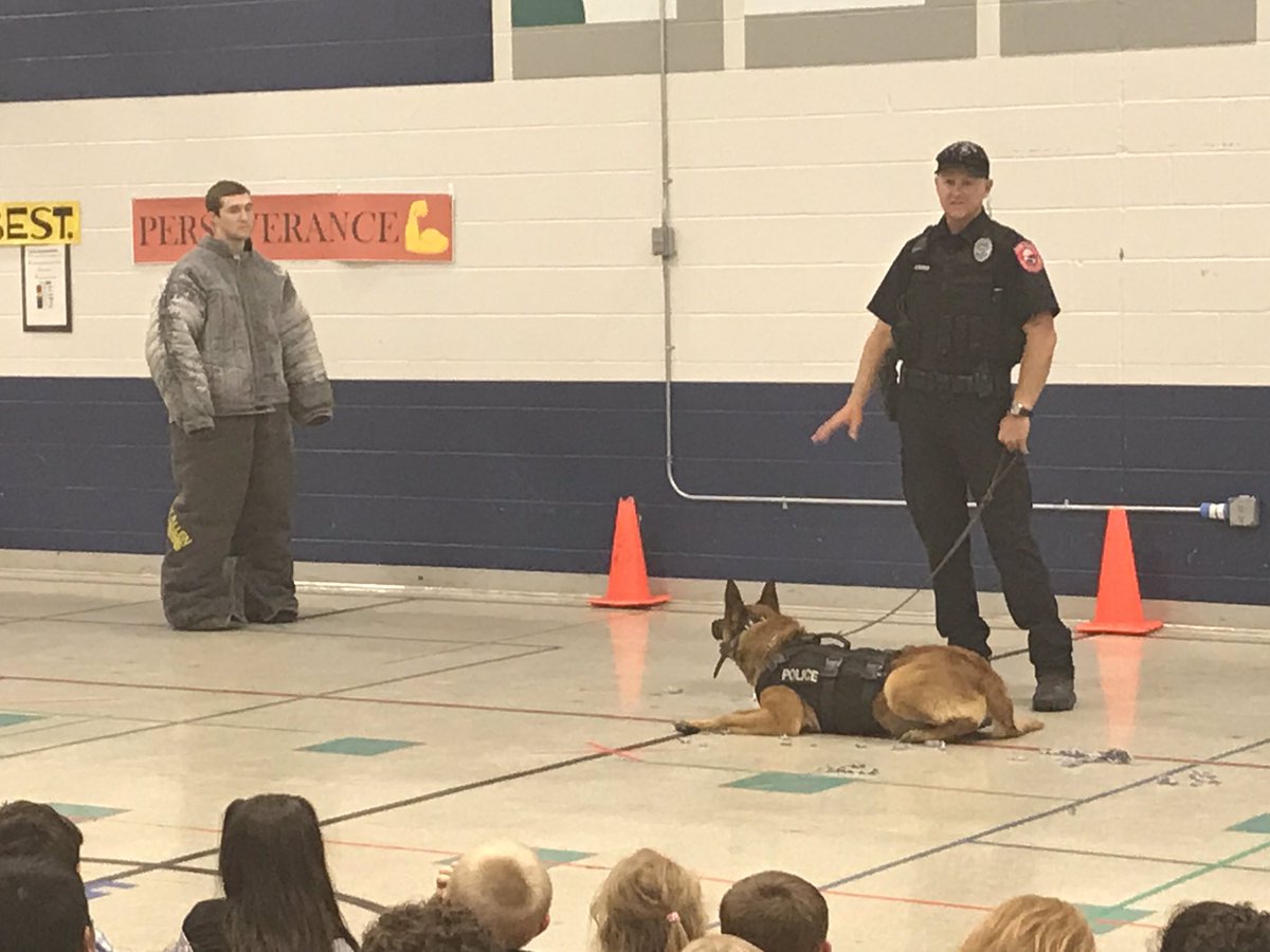 dwholleyjr's tweet photo. Thank you to Officer Bowen and Cocese for visiting our students this week and demonstrating what a police dog can do to keep our community safe. #wlbeyounique #BeGrand https://t.co/WbrCG8GNJX