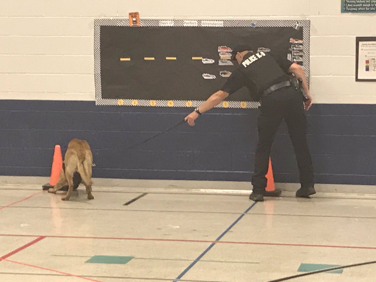 dwholleyjr's tweet photo. Thank you to Officer Bowen and Cocese for visiting our students this week and demonstrating what a police dog can do to keep our community safe. #wlbeyounique #BeGrand https://t.co/WbrCG8GNJX