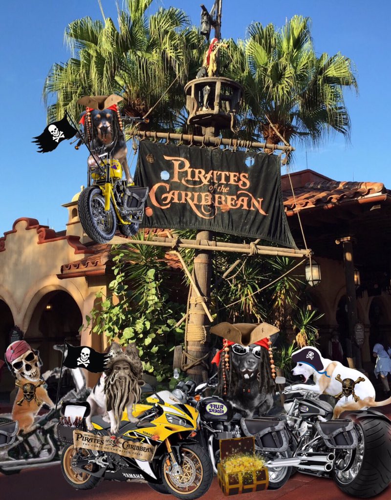 RubyDawgOffcial's tweet photo. @dog_rates Ah go on #muttercycle rydez wit @theruffriderz to kuul playsez round da globe lyke #Orlando wayr my budz in the #DangerDawgz n I pulled off an amayzin stunt show! Da rest o da tyme ahm jus az chill az da rest o da doggos...
#theRuffRiderz https://t.co/LmoW79mb0U