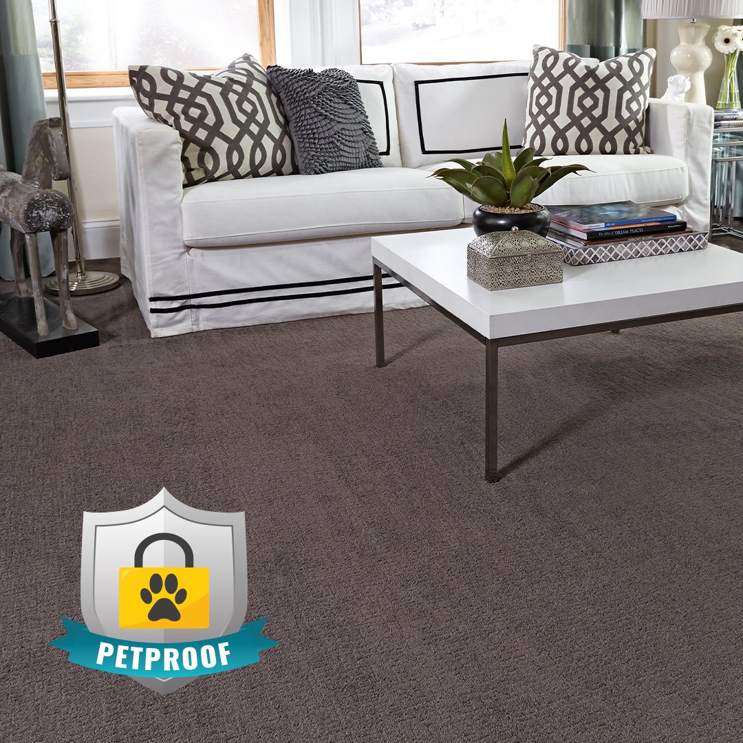 fcaflooring's tweet photo. 🇺🇸 Avoid all worry of possible stains, odors, and damage from our 🐶 furry friends! Stop in Memorial Day weekend for #DOORBUSTER DEALS on pet-friendly #carpeting! 🇺🇸https://t.co/yhB6IlUcPv 
#FCA #MemorialDayWeekend #petfriendly #flooring #interiordesign #homeremodel https://t.co/hjfFY1WbvJ