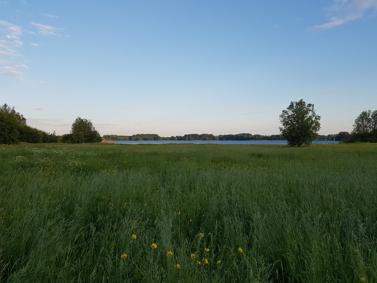 IvoHuizinga's tweet photo. Na het eten nog even een rondje #wandelen bij de #Zevenhuizerplas. #puurnatuur #natuurlijk #relaxed #eveningwalk #nesselande #zuidplas #strandgaper #afterwork https://t.co/38dkbBj93e