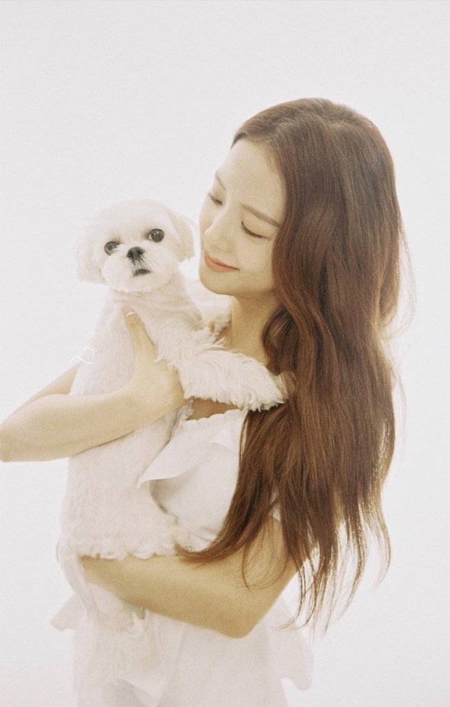 NiNiTrans's tweet photo. [#BPTrans]
Although it's late 🐶
#happydalgomday #190515

(omgomg Chu had a photoshoot with Dalgomie this is too cute) 

190517
sooyaaa__ IG update

#JISOO #DALGOM #BLACKPINK
#HappyDalgomDay #블랙핑크 #VisualDalgomDay #kpop #지수 https://t.co/hs4uo5dUYs