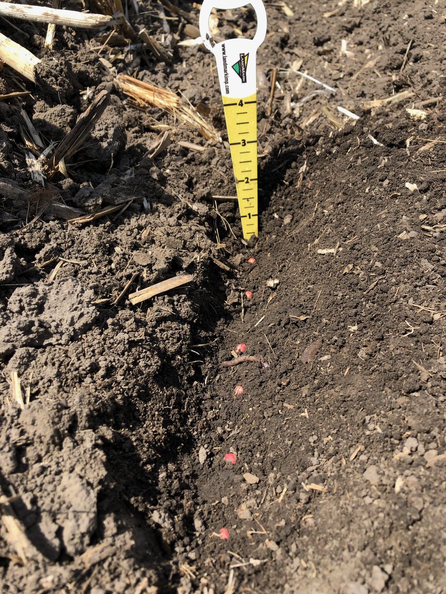 LandMarkImp's tweet photo. Planting with a DR16 fully mounted #ExactEmerge near Minden today at 8.5 mph.
📸 P.C. Jeff Huston, Minden and Holdrege Location Manager
#LandMarkDifference #JohnDeere #SeedSingultion #plant19 #SeedSpacing https://t.co/1V9IYdajgy
