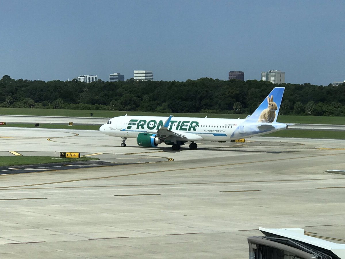 FLFlyer - Will tweet media