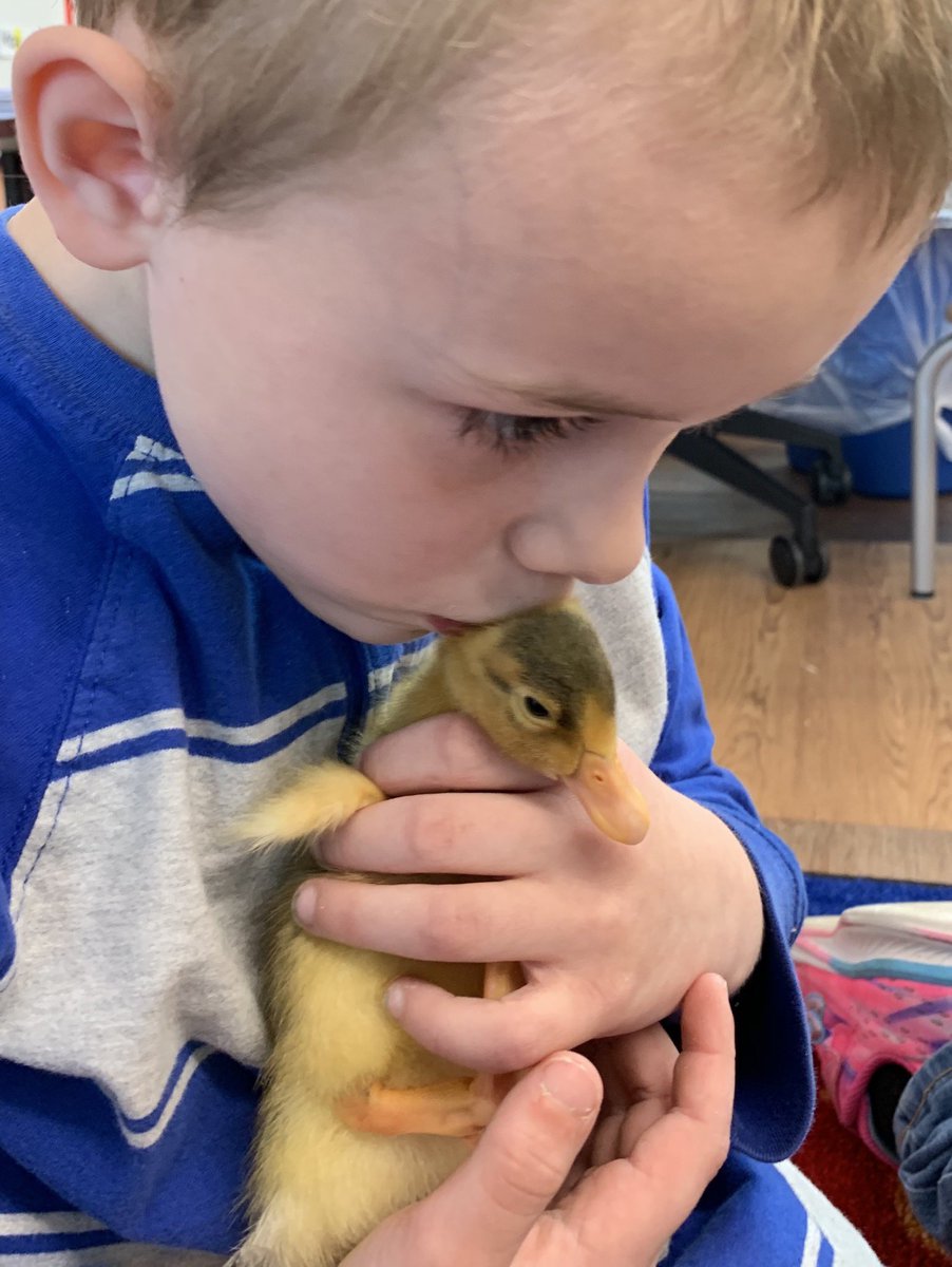 mrsmorris94's tweet image. #waitisover #readwriteshare #sciencerocks #thanksQuarantas&amp;amp;Stummer farms @OES_Principal1 @OAUpdate