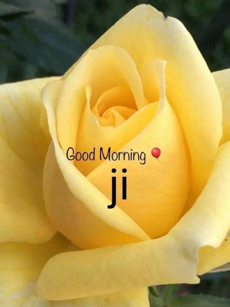 Neeti___'s tweet photo. रेत में गिरी हुई चीनी 
चीटी तो उठा सकती है,
पर हाथी नहीं..!

इसलिए....

छोटे आदमी को छोटा 
ना समझे,
कभी कभी छोटा आदमी 
भी बड़े काम कर जाता है...!!

😎राधे राधे सुप्रभात🐱 https://t.co/oOKKfzZTND