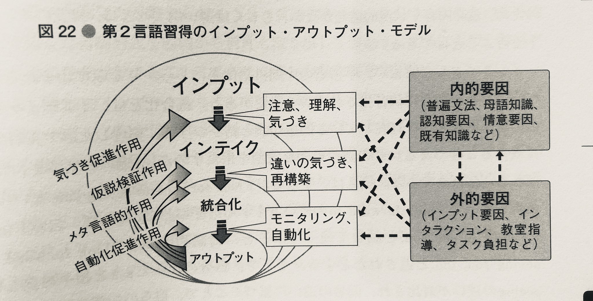 セレン 英語キュレーター インプットからアウトプットまでの言語習得の流れ 簡単にまとめると 1 読んだり聞いたりしても適切に理解できてないと取り込まれないので意味ない 2 アウトプットはメタ認知を鍛える要素として必須 3 自分が使えると感じて セレン 英語キュレーター インプットからアウトプットまでの言語習得の流れ 簡単にまとめると 1 読んだり聞いたりしても適切に理解できてないと取り込まれないので意味ない 2 アウトプットはメタ認知を鍛える要素として必須 3 自分が使えると感じて
