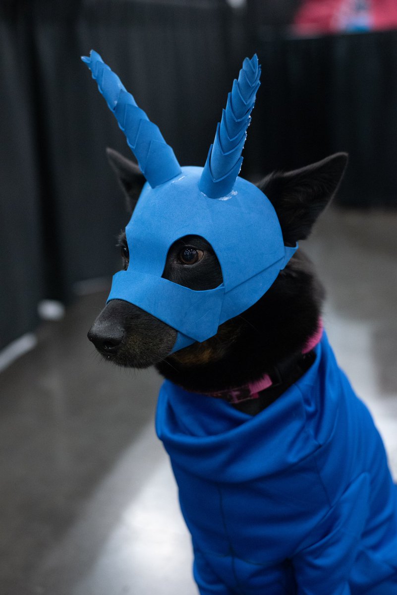 NorahMoranPhoto's tweet photo. Here are some photos I took at #comicpalooza last Friday! All these cosplays are from the show @theticktv that was just canceled for the 3rd Season. They're trying to get the show picked up by another network so let's show our support using #SaveTheTick! https://t.co/q55siSXLjj