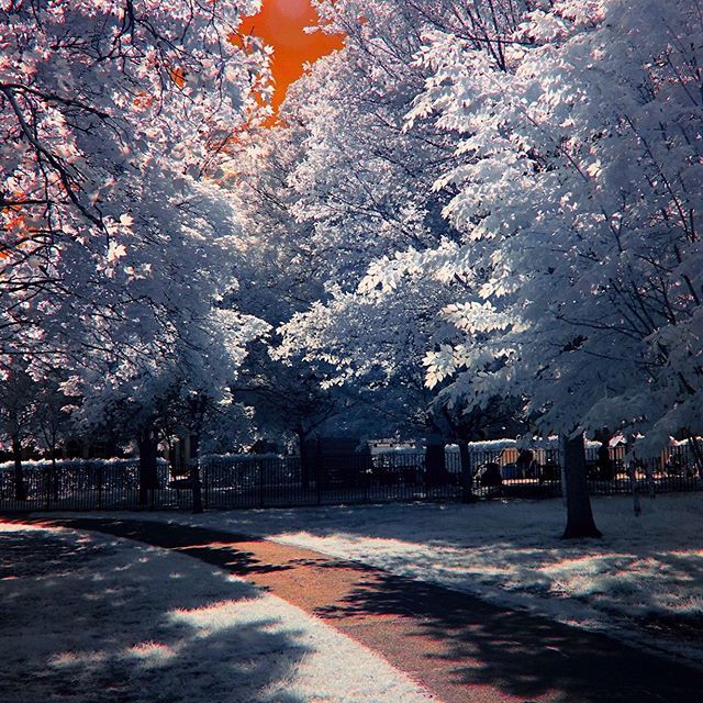 RupertHitchcox's tweet photo. Some more InfraRed Photography from this morning.
.
.
.
.
#rawurbanshots #ukshooters #london_shooters #parkshared #streetphotography #weekly_feature #createexploretakeover #shotzdelight #mkexplore #gearednomad #rsa_streetview #hsdailyfeature #thisislondo… https://t.co/4tDtOOx4MA https://t.co/91KQGOgFiQ
