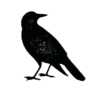 Thank you to all of our fans.. we could not do it without you!!

Check out this great new review! 
"We were visiting Denver and had a family dinner  here the last night in town.  The atmos taphunter.com/location/black…