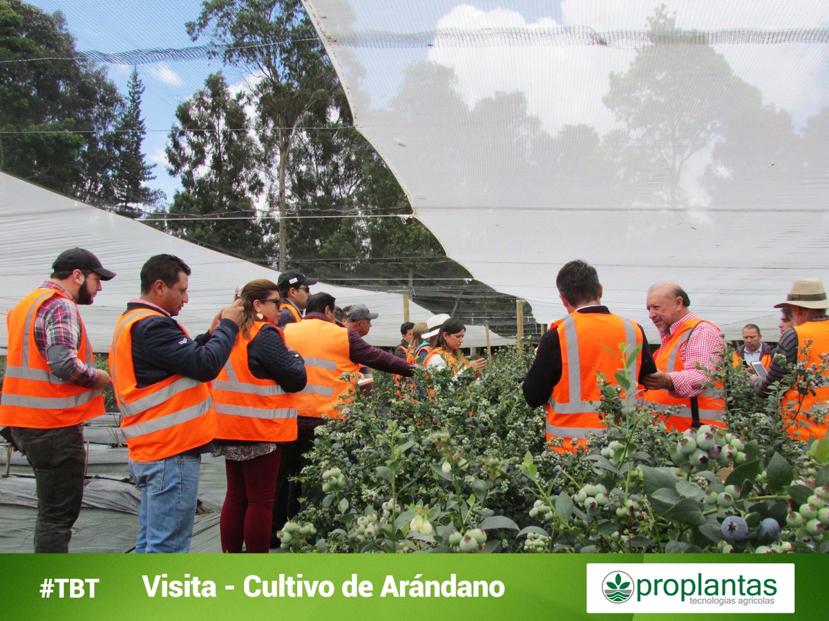 Proplantas tweet media