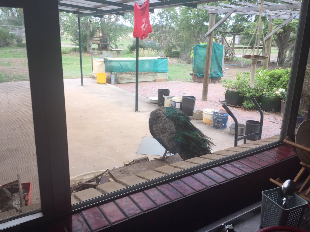 Jenny May tweet media