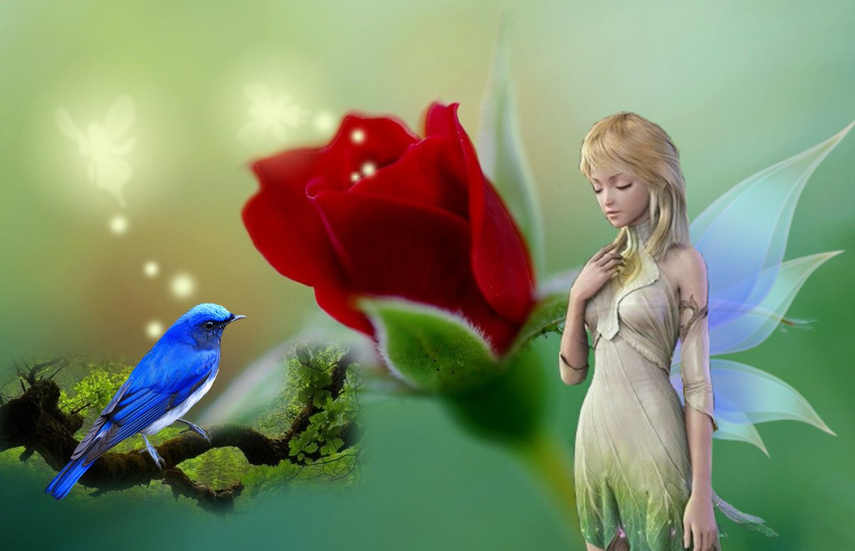 愛されなが
　 生まれてきた

　　愛するために
　　　生きていく

みんなが
　笑顔になれたら

　　みんなが
　　　優しさを
　　　　　届けあえたら

毎日の
　ささやかな幸せ

　　かけがえない

　　　　幸せを…

　　　～愛の詩～