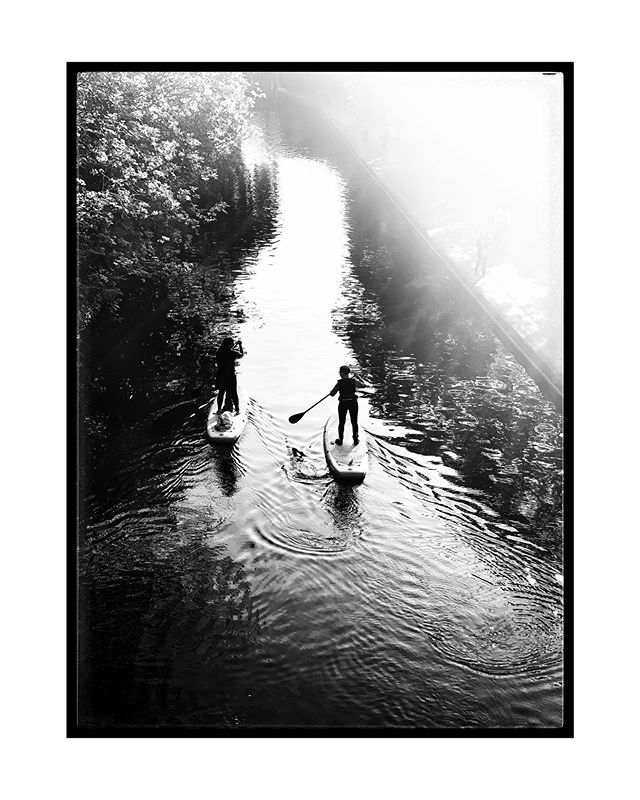 Yinka Adeyeye tweet media