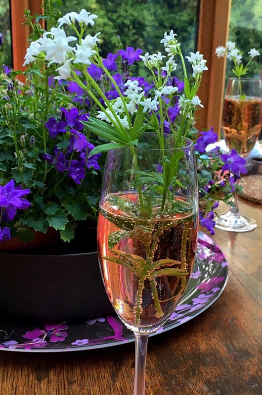 AngelikaHTCG's tweet photo. My take on a #MayPunch π #Woodruff & #PinkBubbly #wildflowers #foraging https://t.co/IMo0BAn8M8
