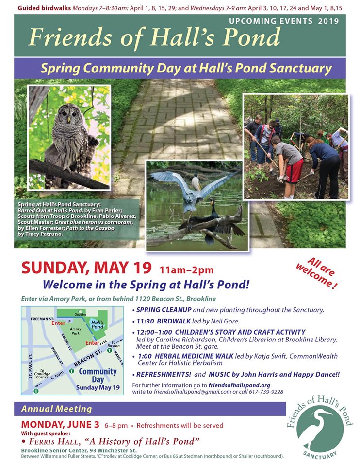 ClimateActionBr's tweet photo. The "final" event of this wonderful #Brookline #ClimateSpring is the Spring Community Day at Hall's Pond Sanctuary! Organized by @HallsPndFriends. at Amory Park. Hope you can join in the fun! https://t.co/50SATj30Hq