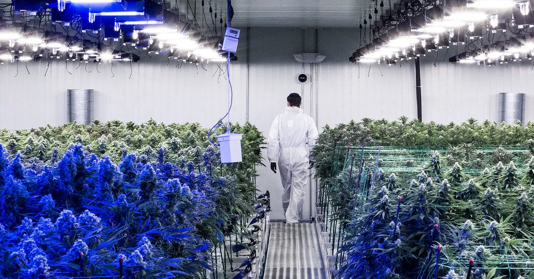 For months, the two states were locked in a race to legalize, but at the end of March, the campaign in New Jersey abruptly collapsed. Why? buff.ly/2HltaVX