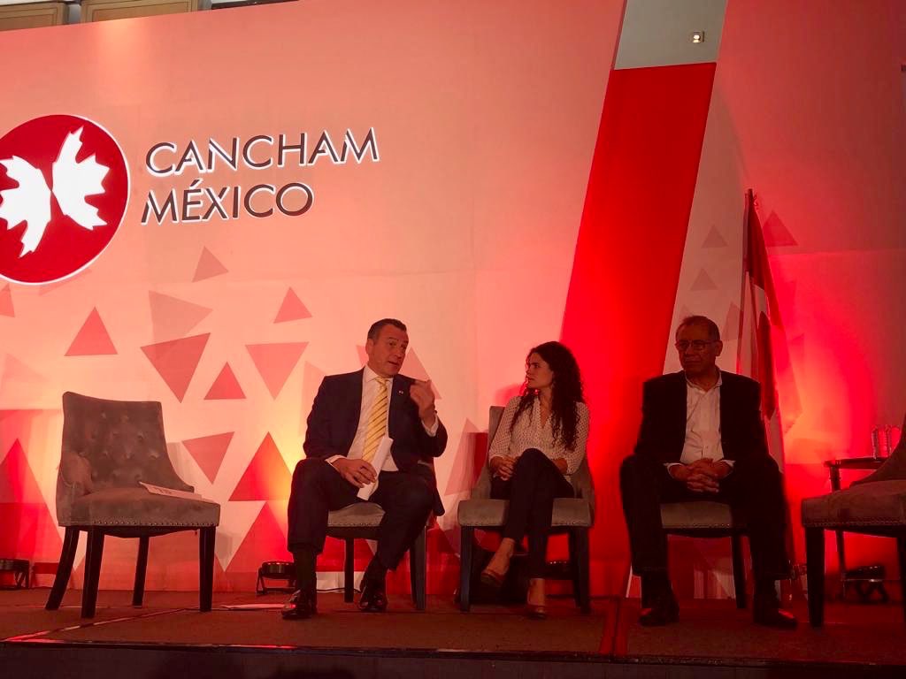 CanChamMx tweet media