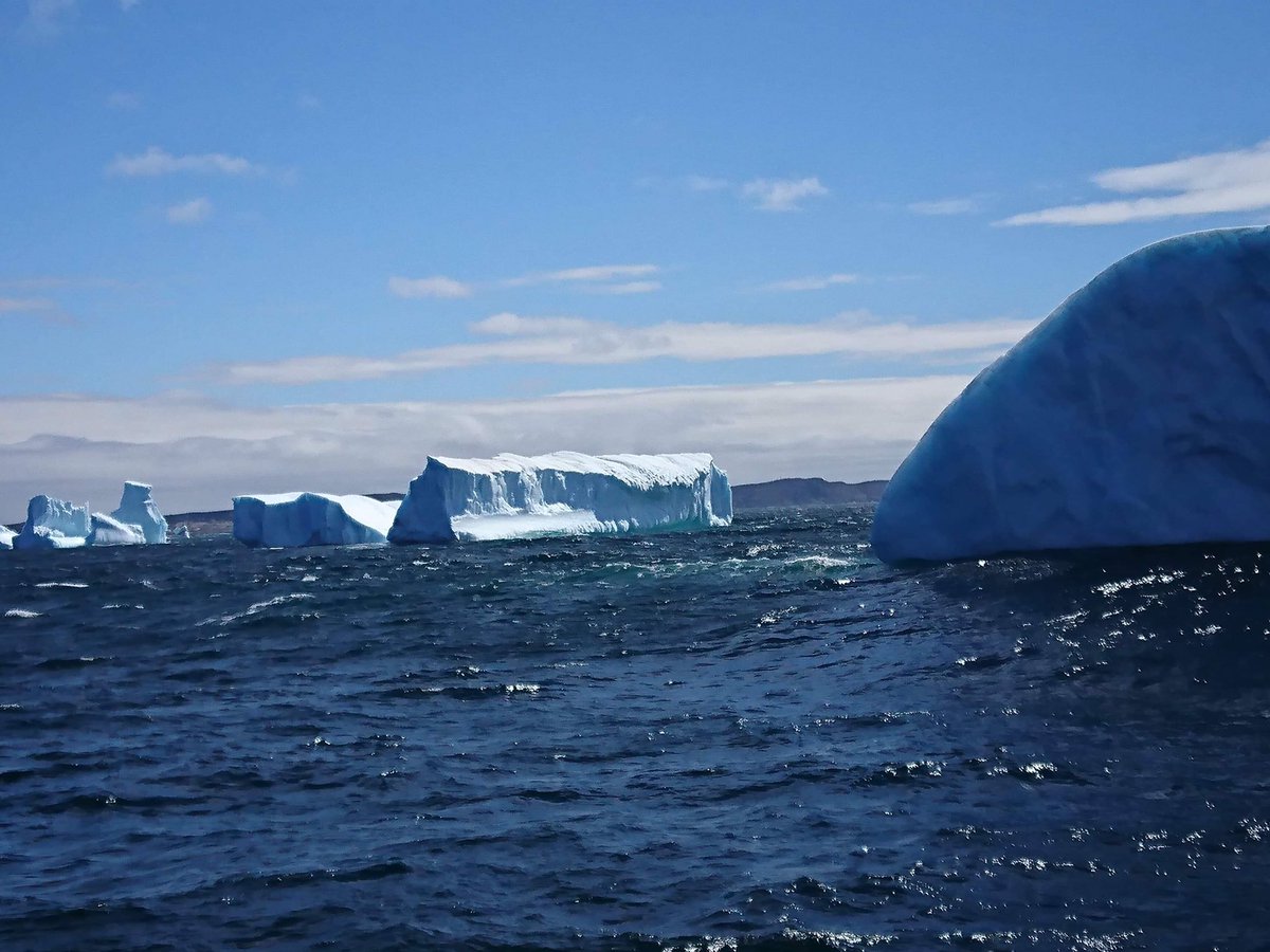 Boat Tours &amp; Icebergs today! <a href="/LegendaryCoasts/">Legendary Coasts</a> <a href="/TownofBonavista/">Town of Bonavista</a> <a href="/CBCNL/">CBC Newfoundland and Labrador</a> <a href="/EddieSheerr/">Eddie Sheerr</a> <a href="/BTRChamber/">Bonavista-Trinity Regional Chamber of Commerce</a> <a href="/NTVNewsNL/">NTV News</a> @NLIcebergReport <a href="/NLtweets/">NewfoundlandLabrador</a>