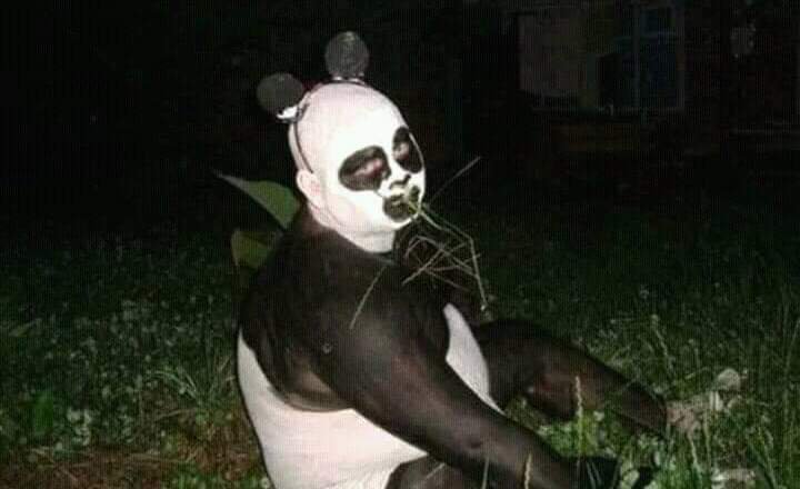 Dicemi_ma's tweet photo. Mi crush: me encantaría acariciar a un panda.
Yo: ___ https://t.co/R472WkAaos