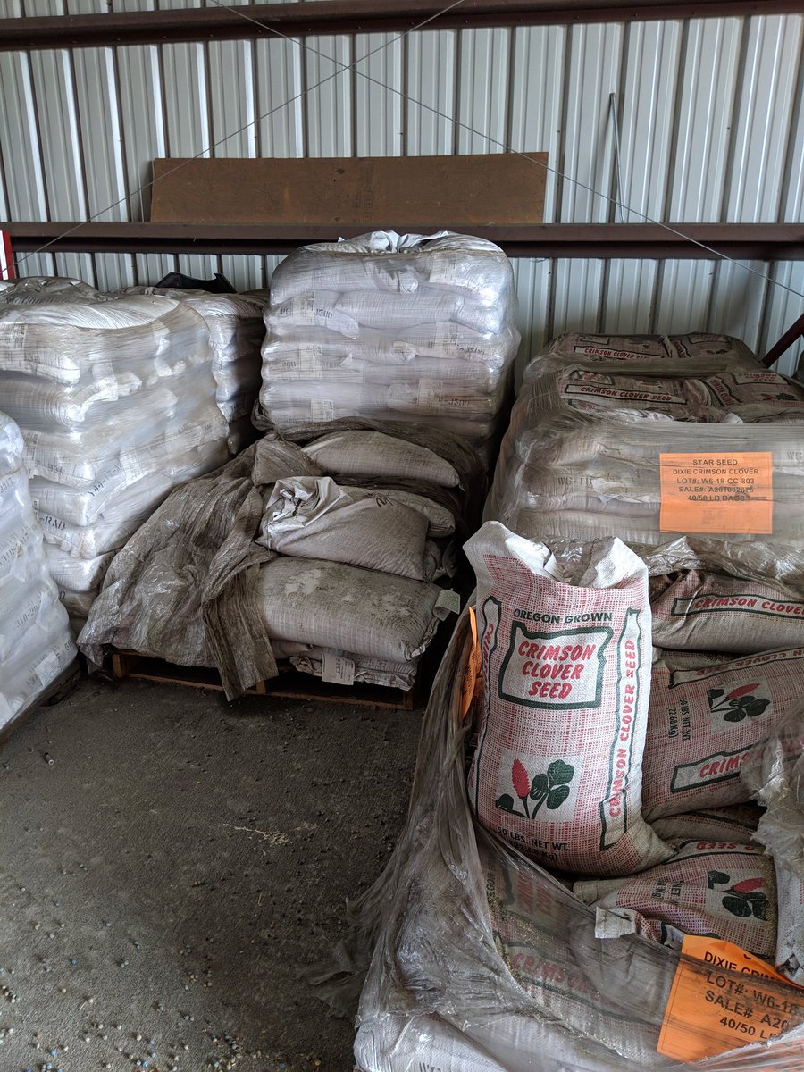 VlasinAdam's tweet photo. We are stocked up with all your forage and cover crop seeds!! Contact us to discuss varieties, and our very competitive pricing. Call Tyler 308-883-0768, Nick 308-883-6221, or myself 308-414-1691. @oxford6868 @NRigel https://t.co/30yTXqygiV