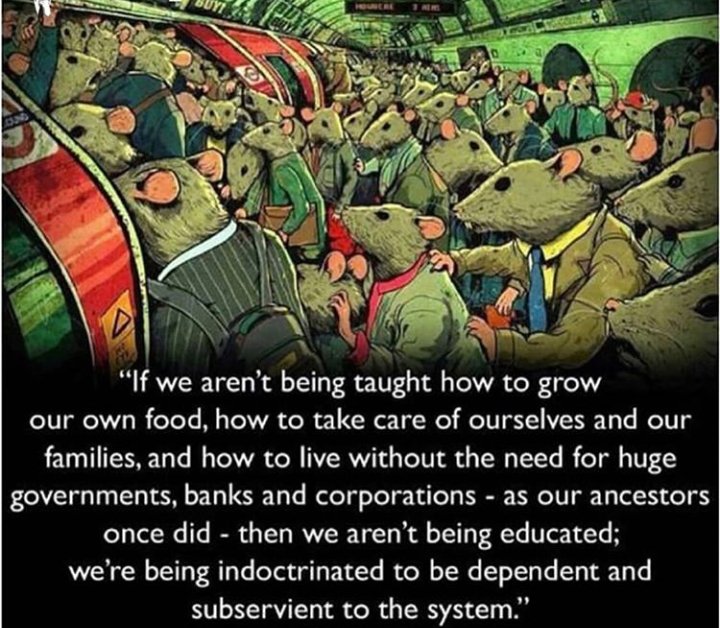 Knights_Indian's tweet photo. #ThinkPonderReflect https://t.co/eQ5OtBCE9D
