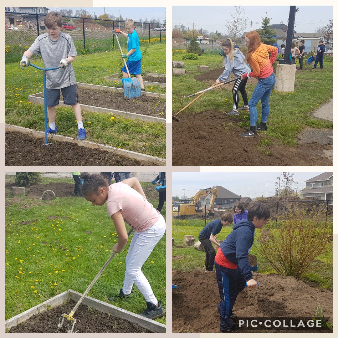 Sonja Upton tweet media