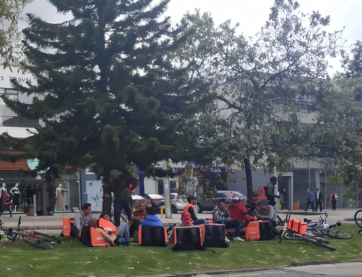 TransMiseria's tweet photo. Florece la economía naranja. https://t.co/lGsMrtyD3v