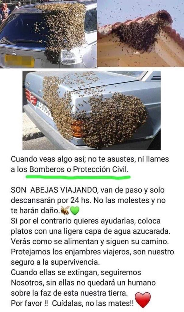 hector robles ward tweet media