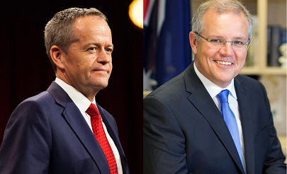 Michele Levine tweet media