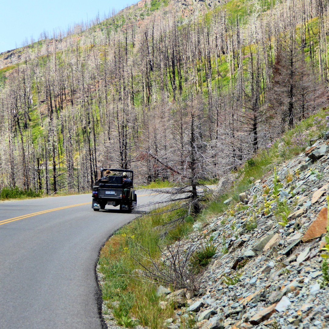 EpicWillys's tweet photo. The "Old Grey Mare" rounds the bend with all his friends.
.
.
#epicwillysadventure #EWA2018 #bordertoborder #vintagewillys #willysjeep #jeep #jeeplife https://t.co/Yicwdc5cID