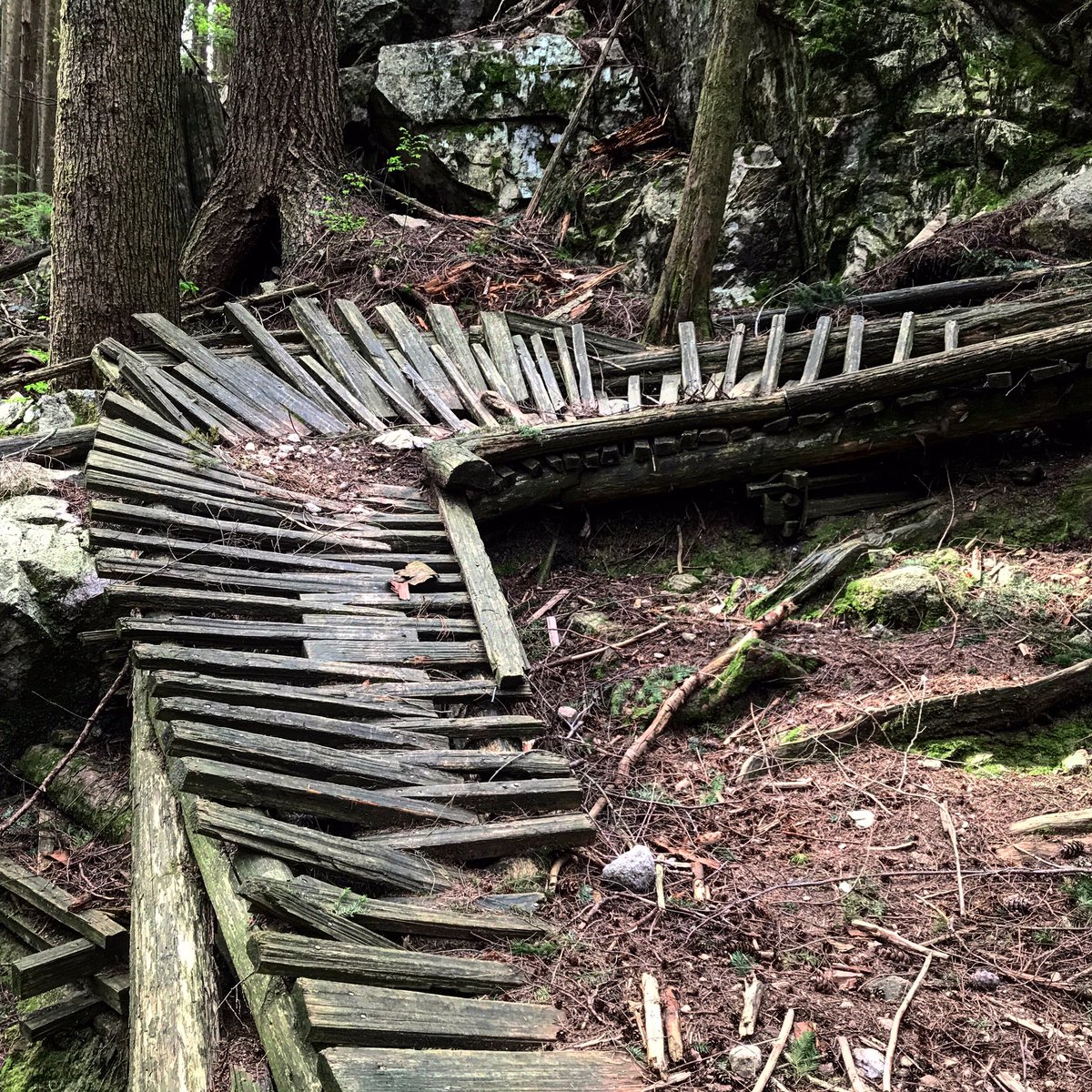 Sketchy?
.
.
.
.
.
#mtb #mountainbike #mtbkids #mtbkid #mtblife #mtblove #mtbbc #grom #norcobikes #wplbike #pnw #mtbikes #mtbiking #mtbgram #mtbdaily #mountainbiking #gopro #mtbgrom #mtbpictureoftheday #youtuber #chromag #newyoutuber <a href="/norcobicycles/">Norco Bicycles</a> #nsmba