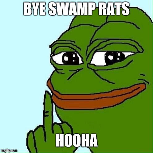 tanksmom2000's tweet photo. @GeorgePapa19 Yep!! Pepe is very pleased! He tried to warn the swamp rats, but they didn't listen!
#OneWayTicketToGITMO https://t.co/bpzRMdfjMq