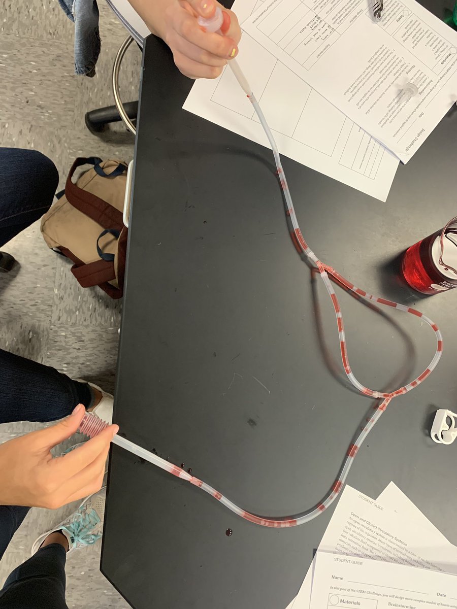 Tyra Wingle (@hprhs_tyra) on Twitter photo Anatomy & Physiology Ss create their very own 2-chamber heart models today in class!❤️ <a href="/JonTallamy/">Jon Tallamy</a> <a href="/HighPointSTEM/">Brian Drelick</a> <a href="/HPRwildcats/">High Point Regional High School</a> <a href="/SeamusWCampbell/">Seamus Campbell</a> Anatomy & Physiology Ss create their very own 2-chamber heart models today in class!❤️ <a href="/JonTallamy/">Jon Tallamy</a> <a href="/HighPointSTEM/">Brian Drelick</a> <a href="/HPRwildcats/">High Point Regional High School</a> <a href="/SeamusWCampbell/">Seamus Campbell</a>