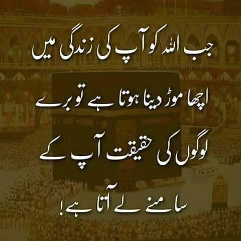 AnserGhani5's tweet photo. @iHarryEmpires https://t.co/n1Y5wP17V3