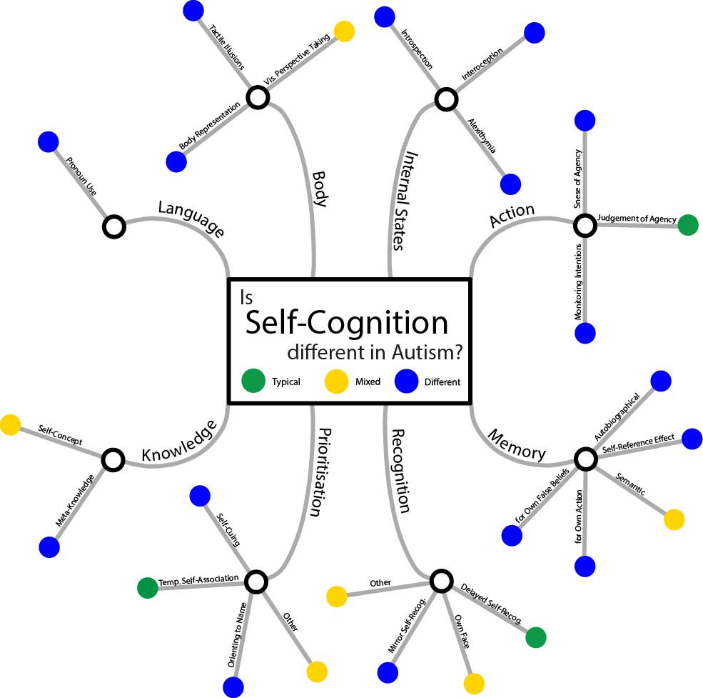 kelseyperrykkad's tweet image. Our new comprehensive review paper shows self-cognition differences in autism in almost every domain (lots of blue dots). In R-JADD with @hohwy @cogphillab
Read it for free here - rdcu.be/bCRy3
#autismresearch #predictiveprocessing #freeenergy #ASD #autism #cogsci
