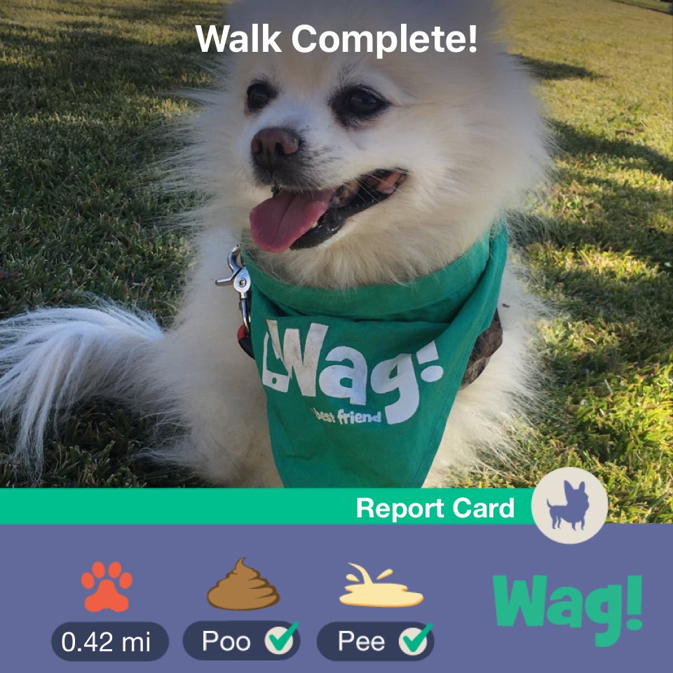 VastData's tweet image. Just finished a dog walk on Wag! Use my link wagwalking.app.link/rXfbjGYXKW for $50 of FREE Wag credit!