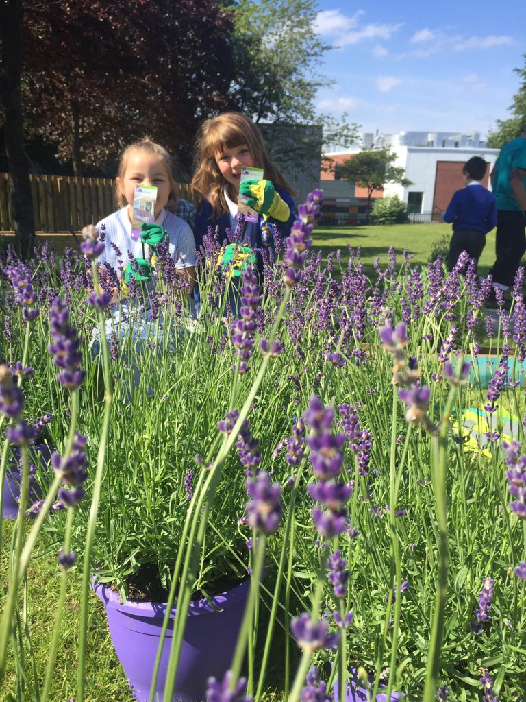 Year 3 making great progress with prayer garden planting