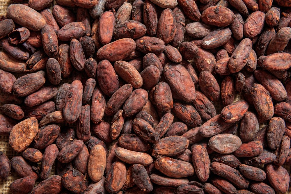 ULBRecherche's tweet photo. Pour faire du chocolat, les fèves de cacao subissent d'abord une fermentation. Rudy Pelicaen #IBsquare tente de mieux comprendre ce processus grâce à la bio-informatique. Il expliquera cela lors de la finale interU de @MT180_be le 22 mai https://t.co/ZcrXpcJpmo #mt180 https://t.co/5qBjZM3MNP