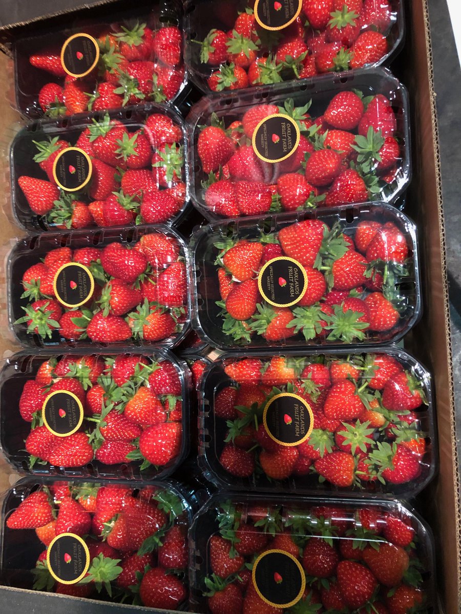 johnhenshalls's tweet image. English strawberries class