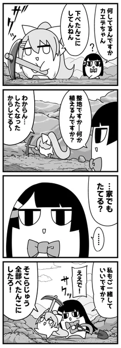【4コマ64】せいち

#ミトとカエデ 