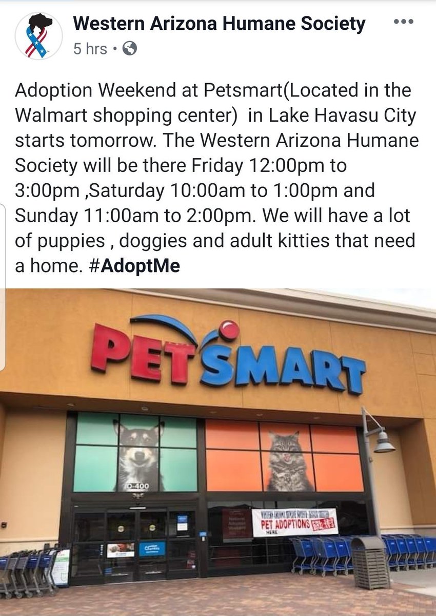 PetSmart1902Havasu tweet media