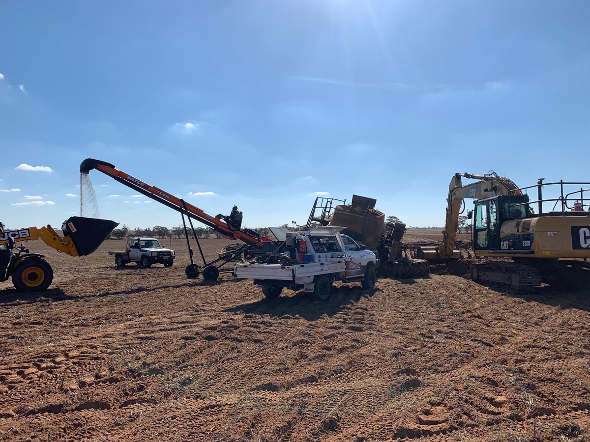 KileyTerrence's tweet image. Got a bit going on #seedmaster