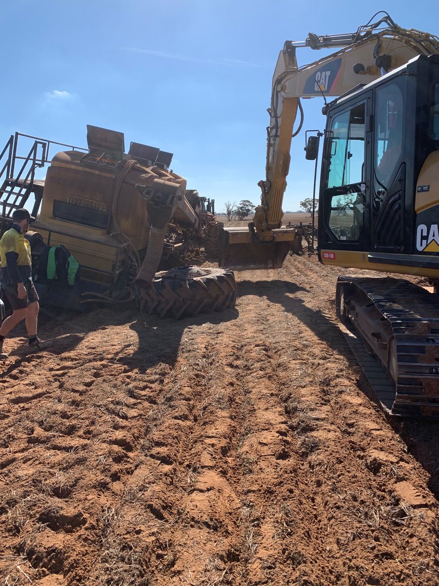 KileyTerrence's tweet image. Got a bit going on #seedmaster