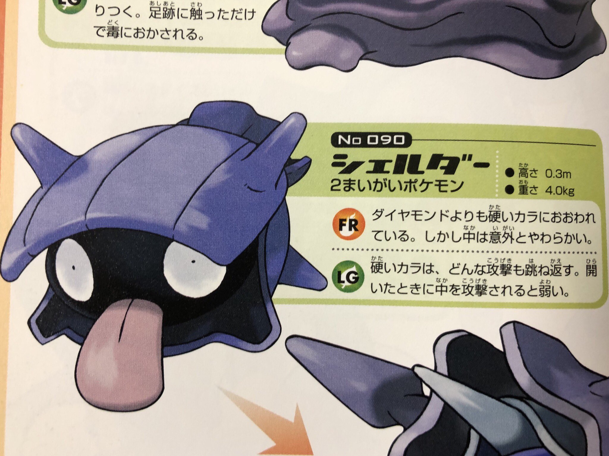 宮内 Bozu 108 ヤドランの尻尾を噛んでる巻貝もシェルダーだということを知れる T Co Hnjvetyphg Twitter