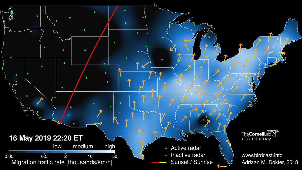 DrBirdCast's tweet photo. A nice night for migration across the eastern USA. https://t.co/pRA4VppSyI