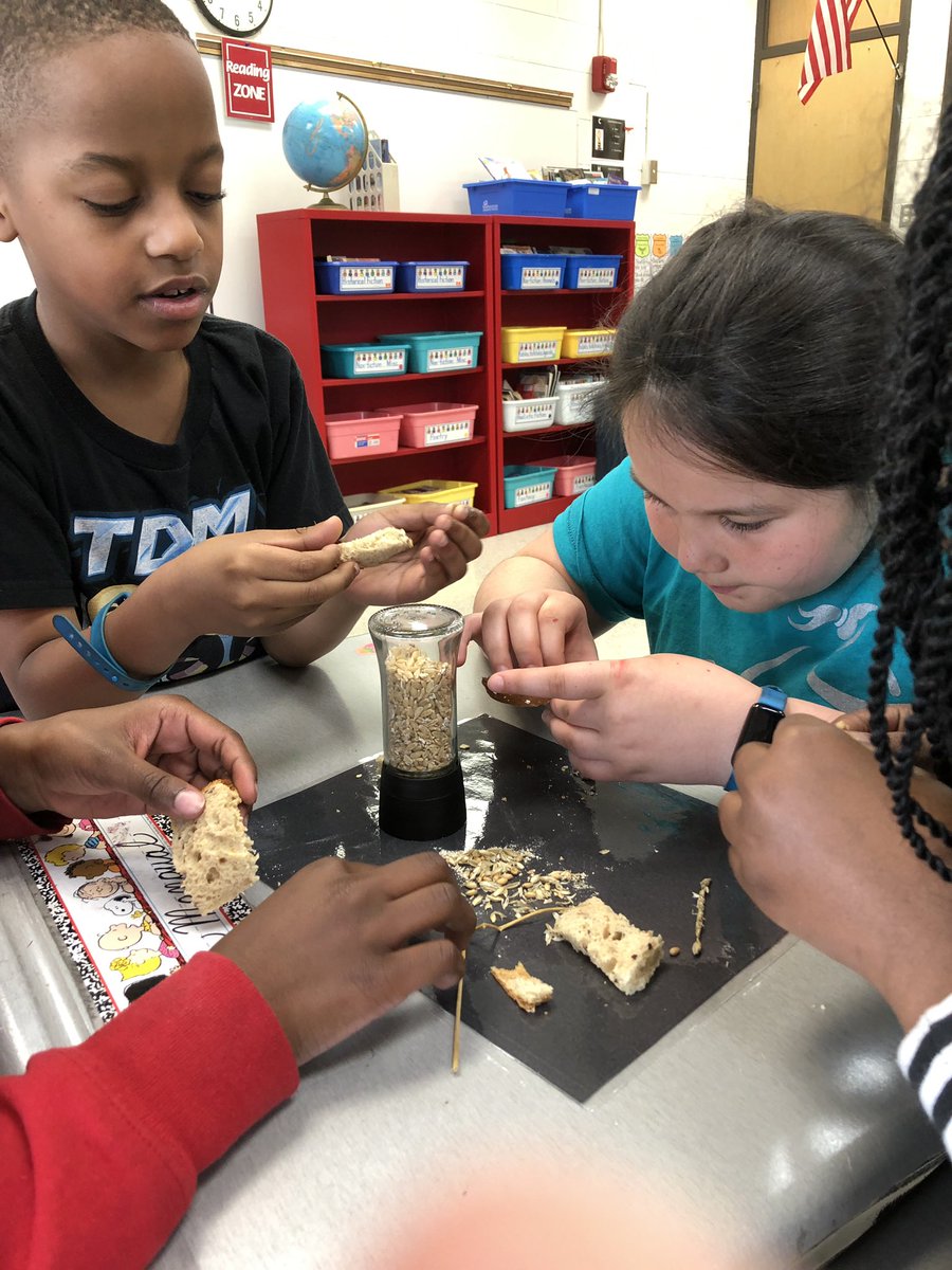 The_Vanntastics's tweet photo. IL Ag in the Classroom, simulating making bread. https://t.co/PsbpxOUHwm